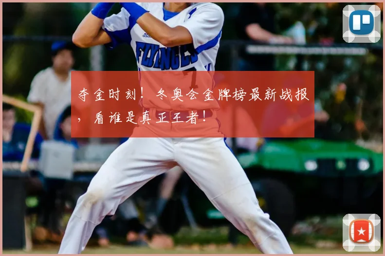 夺金时刻！冬奥会金牌榜最新战报，看谁是真正王者！