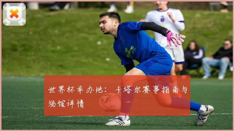 世界杯举办地：卡塔尔赛事指南与场馆详情