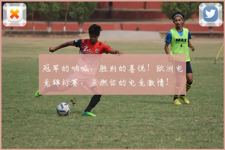 冠军的呐喊，胜利的喜悦！欧洲电竞锦标赛，点燃你的电竞激情！