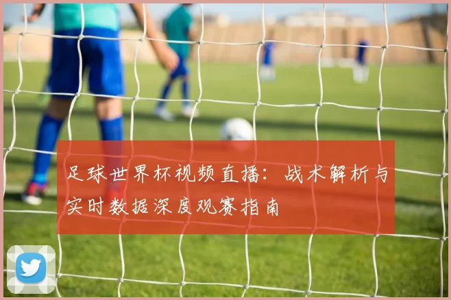 足球世界杯视频直播:战术解析与实时数据深度观赛指南